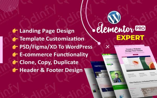 Build Your Modern WordPress Website By WordPress Elementor Page Builder Expert - Image 2