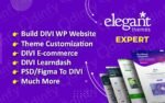 I will build your WordPress DIVI Website Design with DIVI Theme and DIVI Builder - Image 2