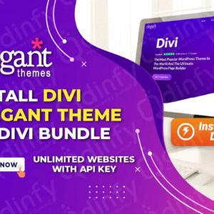 I will Install DIVI Elegant Theme or DIVI Bundle for Lifetime (Unlimited Websites)