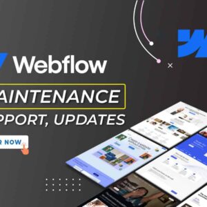 I will provide expert Webflow Maintenance & Support or Help for Your Website